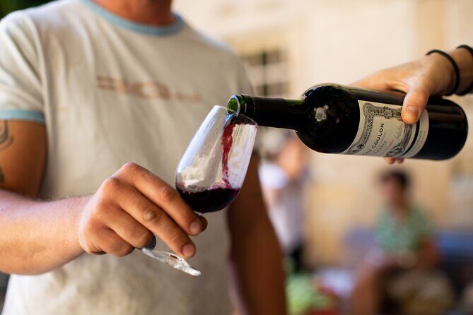 Unusual visit & Tasting of our organic wines - Final Thoughts