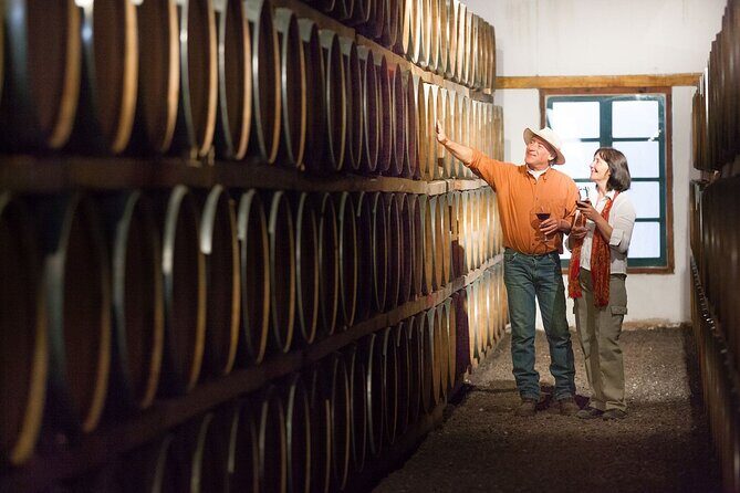 Unveiling Cafayate: Premium Wine Road Adventure - In-Depth Review of the Cafayate Premium Wine Road Adventure