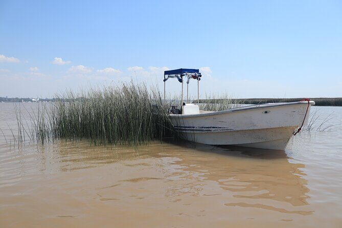 Unveiling Tigre Secrets of Delta & Rio de la Plata - A Detailed Look at the Experience