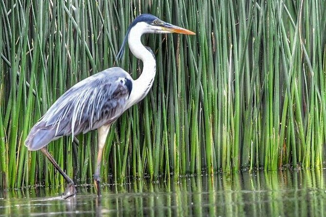 Unveiling Tigre Secrets of Delta & Rio de la Plata - FAQs