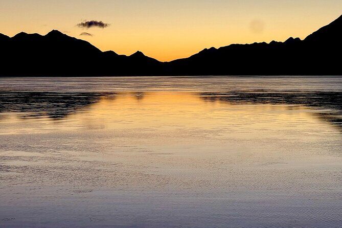 Up to 10 Person Seward to Anchorage Cruise Ship Transfer - Price and Value