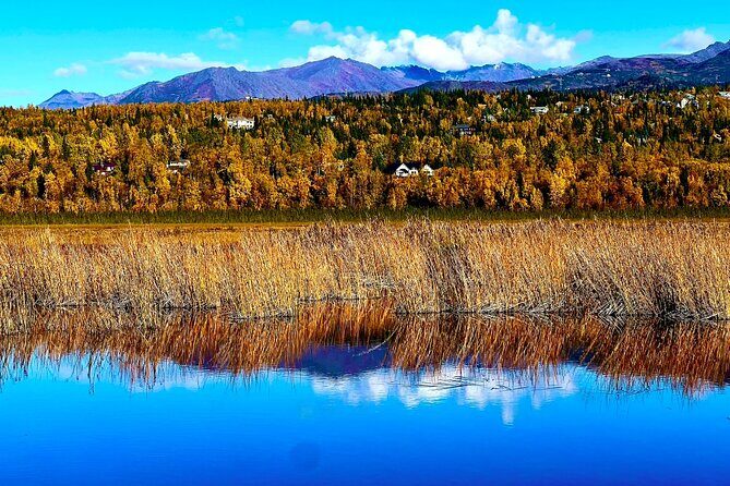 Up to 10 Person Seward to Anchorage Cruise Ship Transfer - Booking and Cancellation Policy