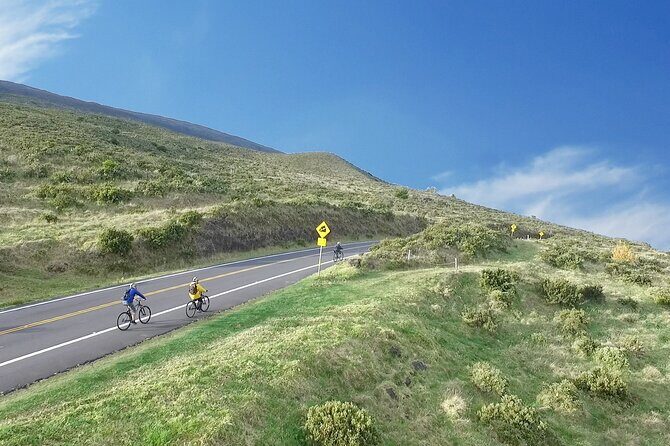 UPCOUNTRY Wednesday Haleakala Downhill Bike Ride w/Maui Sunriders - An In-Depth Look at the Haleakala Downhill Bike Tour