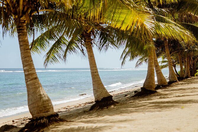 Upolu: Private Tour - Beach, Waterfall and Ocean Trench - Upolu: Private Tour - Beach, Waterfall and Ocean Trench — A Balanced Look at Samoa’s Natural Gems