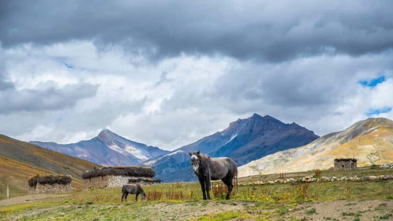 Upper Dolpa Cultural Trek - Practical Details and Considerations