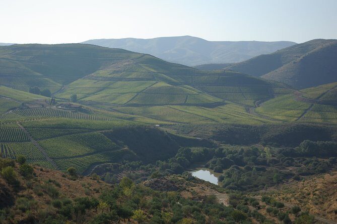 Upper Douro Walk & WineTour - Discover the Charm of the Upper Douro with a Walk & Wine Tour