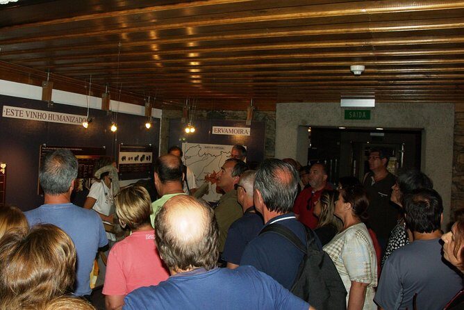 Upper Douro Walk & WineTour - Who Should Consider This Tour?