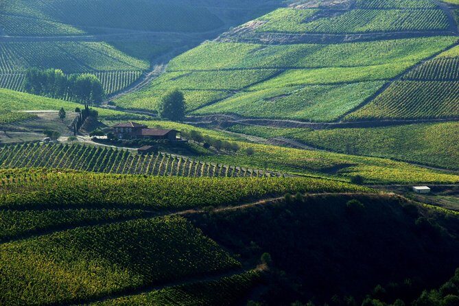 Upper Douro Walk & WineTour - Exploring the Itinerary in Detail