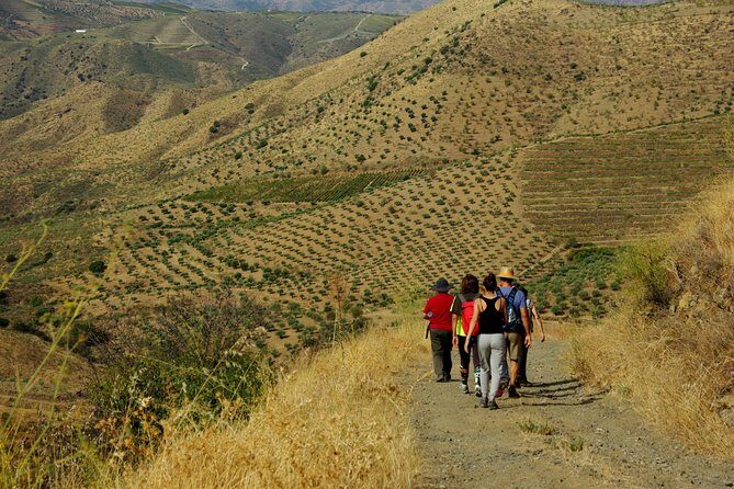 Upper Douro Walk & WineTour - Transportation & Practical Details