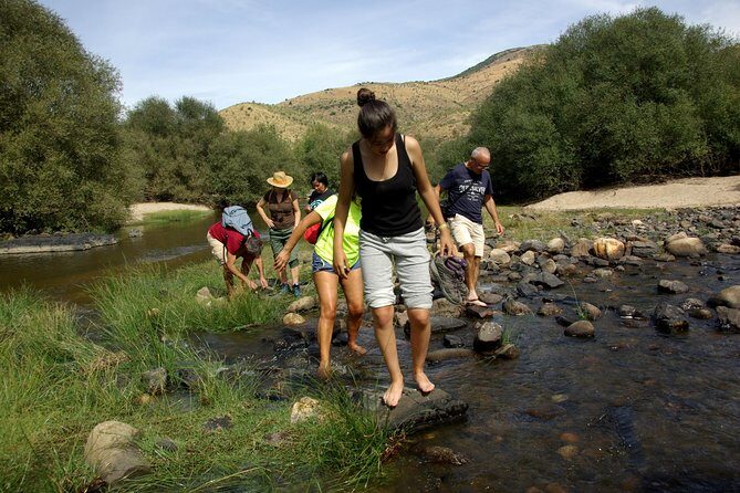 Upper Douro Walk & WineTour - The Authentic Experience That Travelers Love