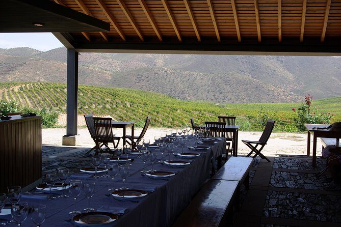 Upper Douro Walk & WineTour - The Sum Up