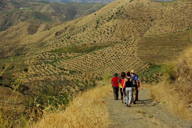 Upper Douro Walk & WineTour - FAQ