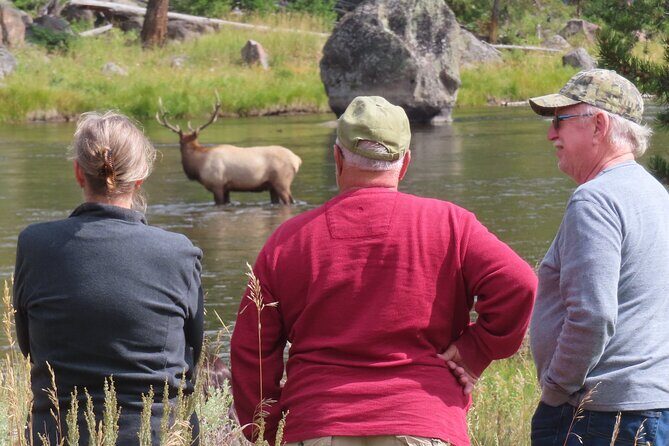 Upper Loop Tour and Lamar Valley from West Yellowstone with Lunch - The Experience in Detail