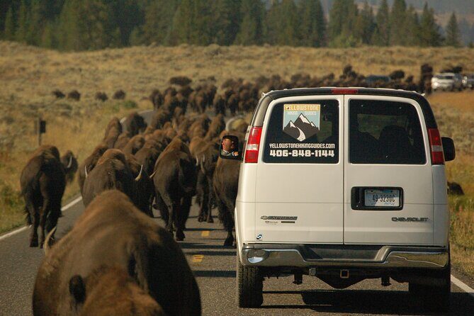 Upper Loop Tour and Lamar Valley from West Yellowstone with Lunch - Frequently Asked Questions