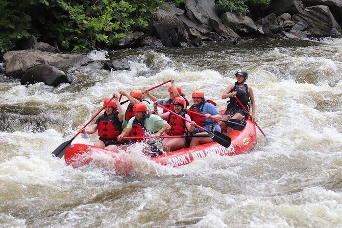 Upper Pigeon River Rafting Trip from Hartford - The Experience: What You Can Expect on This Rafting Adventure