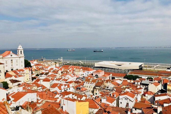 Urban Art City - In-Depth Look at the Urban Art City Tour in Lisbon