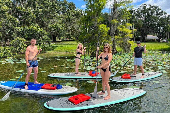 Urban Clear Kayak or Clear Paddleboard in Paradise: Morning/Night - Final Thoughts