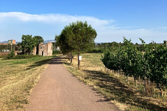 Urban Hike to the Aqueduct Park in Rome - In-Depth Review: Walking Through Rome’s Ancient Engineering