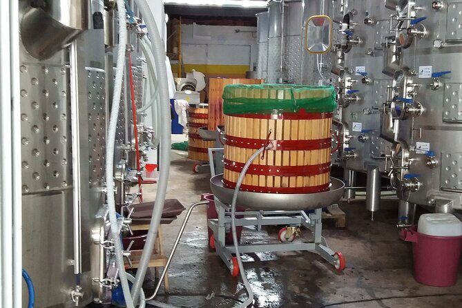 Urban winery tour, premium tasting flight & tapas - Final Thoughts: Why Choose This Tour?