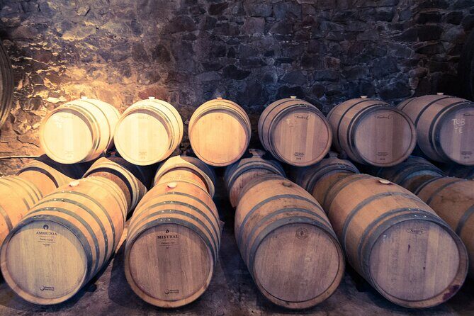 Uruguay Winery Visit and lunch with Wines! - Uruguay Winery Visit and Lunch with Wines! – A Genuine Taste of Uruguayan Viticulture