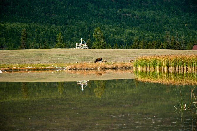 Urumqi Private Arrival Transfer: Airport to Hotel - Key Points