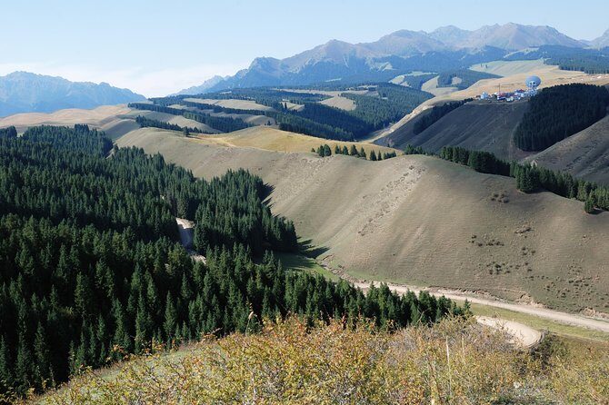 Urumqi Private Arrival Transfer: Airport to Hotel - Practical Tips for Your Urumqi Arrival