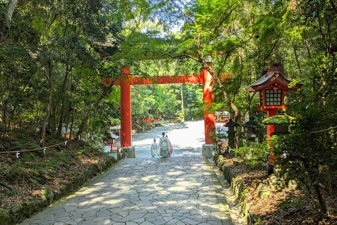 Usa Shrine and Stroll Retro Streets and Kitsuki Castle Town - Who Should Consider This Tour?