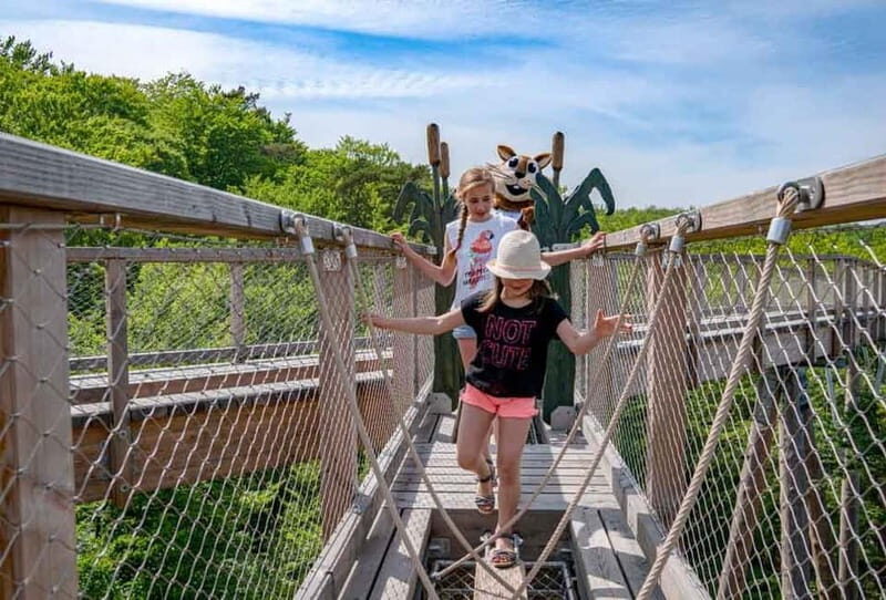 Usedom: Treetop Walk Adventure on Usedom Island - Key Points