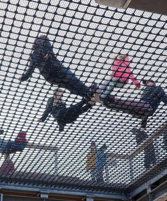 Usedom: Treetop Walk Adventure on Usedom Island - Who Should Consider This Tour?