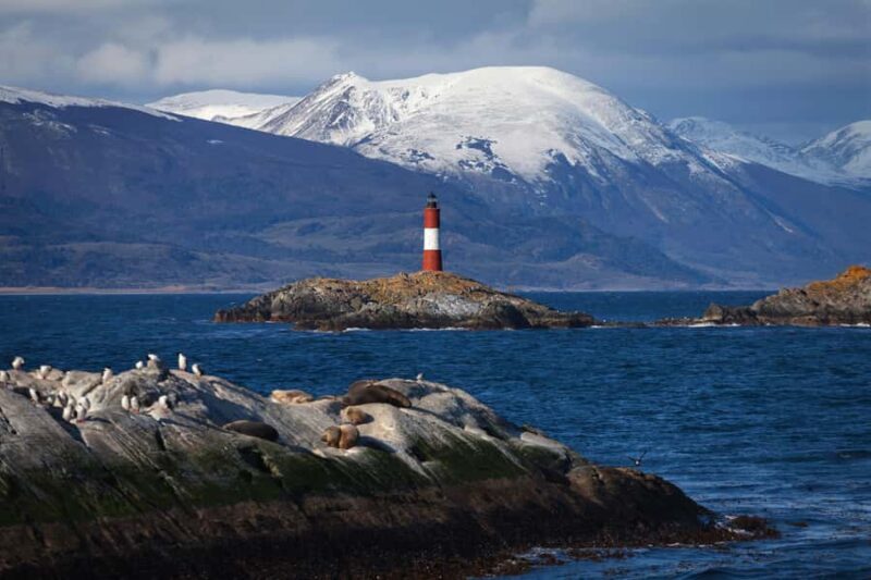 Ushuaia: Beagle Channel Boat Tour and Penguin Experience - Who Will Love This Tour?