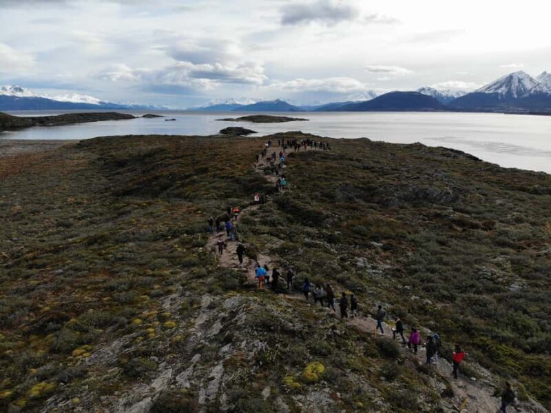 Ushuaia: Beagle Channel, Seal Island & Bridges Islands Tour - Key Points