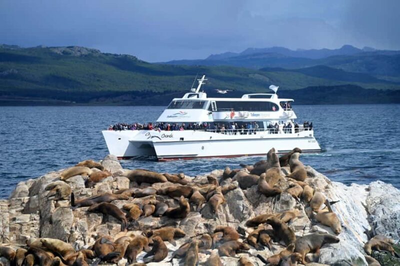 Ushuaia: Beagle Channel, Seal Island & Bridges Islands Tour - The Value of This Tour