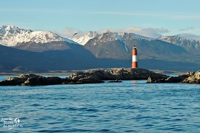 Ushuaia: Beagle Walk Among Penguins Navigation to Isla de Lobos - The Sum Up: Is It Worth It?