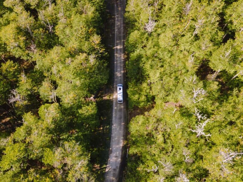 Ushuaia: Escondido & Fagnano Lakes Tour AM - Transportation, Timing, and Group Size