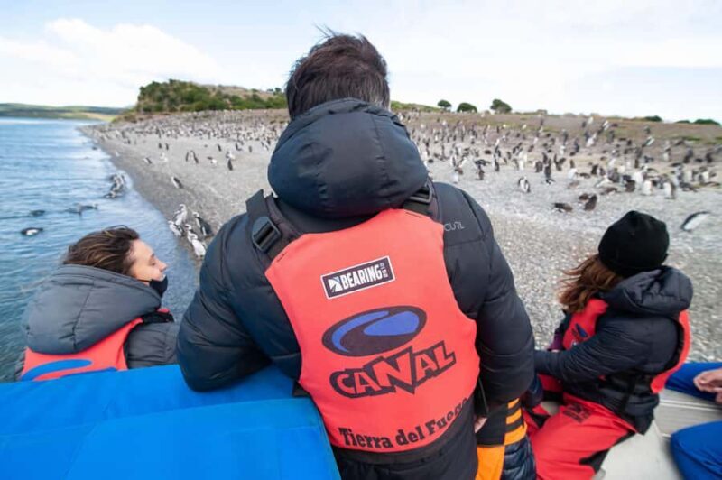 Ushuaia: Gable Island and Penguin Colony with Lunch - The Value and Worth