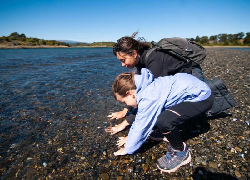 Ushuaia: Gable Island and Penguin Colony with Lunch - FAQs