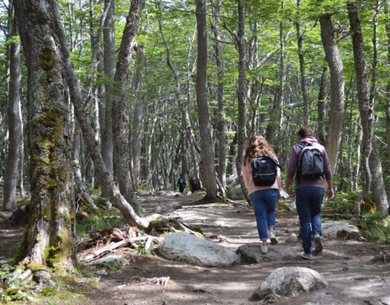 Ushuaia: Laguna Esmeralda Guided Trek with Box Lunch - How Does It Compare to Other Tours?