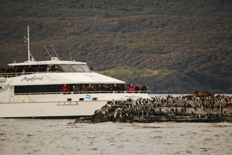 Ushuaia: Penguin Watching Tour by Catamaran - The Sum Up