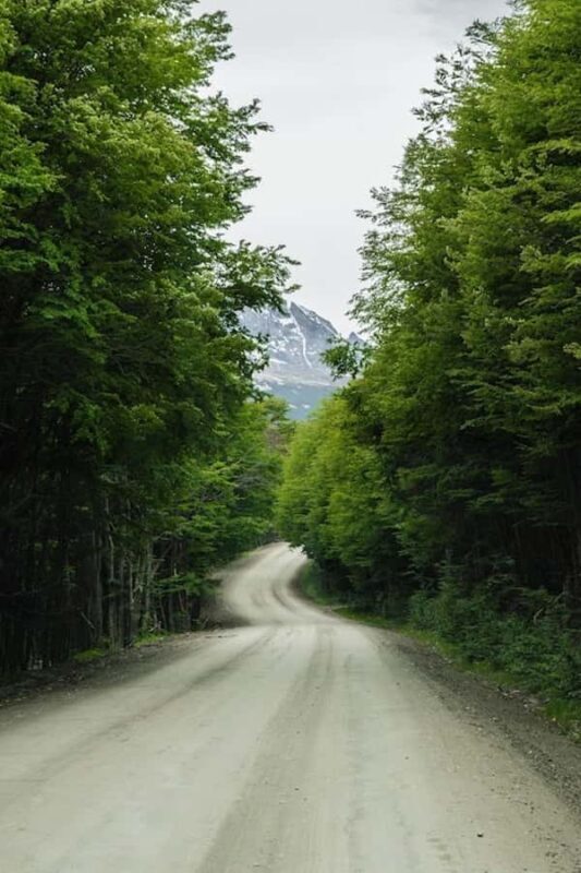 Ushuaia: Penguins Watching Tour by boats from Puerto Almanza - FAQ