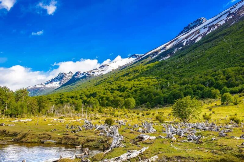 Ushuaia: Shared Experience "Tierra del Fuego" National Park - Exploring the Tour in Depth