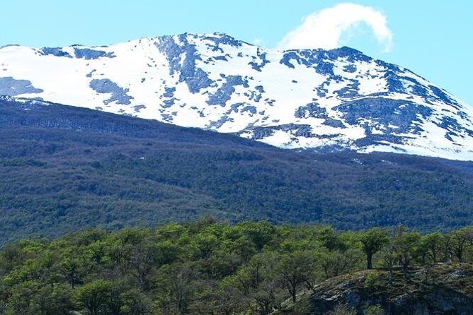 Ushuaia Shore Excursion: Private Tour of Tierra del Fuego National Park - The Experience: What Travelers Say
