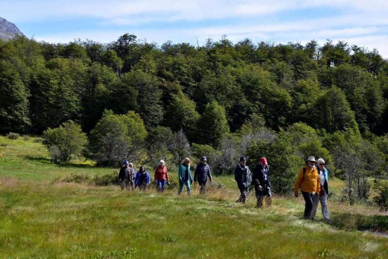 Ushuaia: Tierra del Fuego National Park - Ushuaia: Tierra del Fuego National Park – A Practical, Authentic Adventure