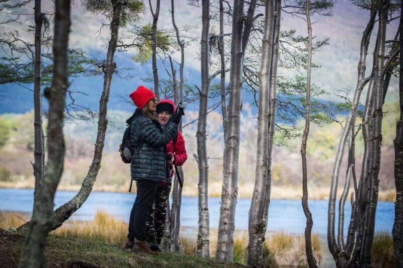 Ushuaia: Tierra del Fuego National Park - A Detailed Look at the Tierra del Fuego National Park Tour