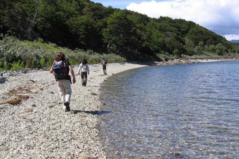 Ushuaia: Tierra del Fuego National Park Tour - Key Points