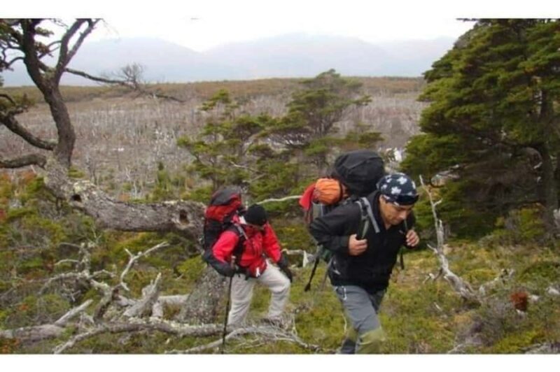 Ushuaia: Tierra del Fuego National Park Tour - Frequently Asked Questions