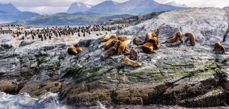 Ushuaia: Tour: Beagle Channel Navigation - Key Points