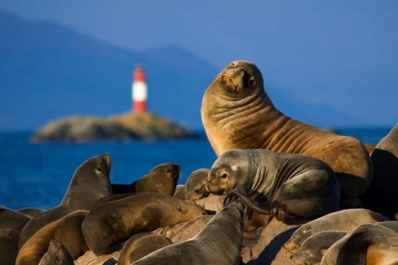 Ushuaia: Tour to Lobos Island with Beagle Channel Trekking - FAQ