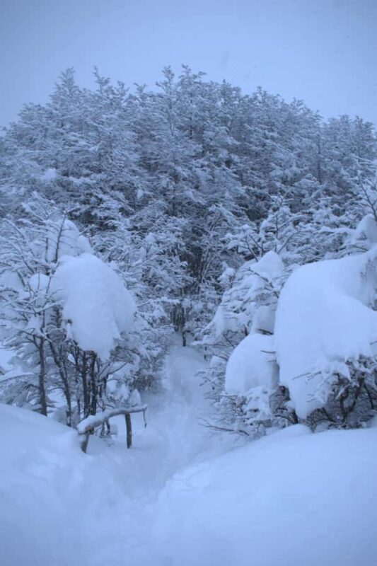 USHUAIA | Trekking Laguna Esmeralda - FAQ