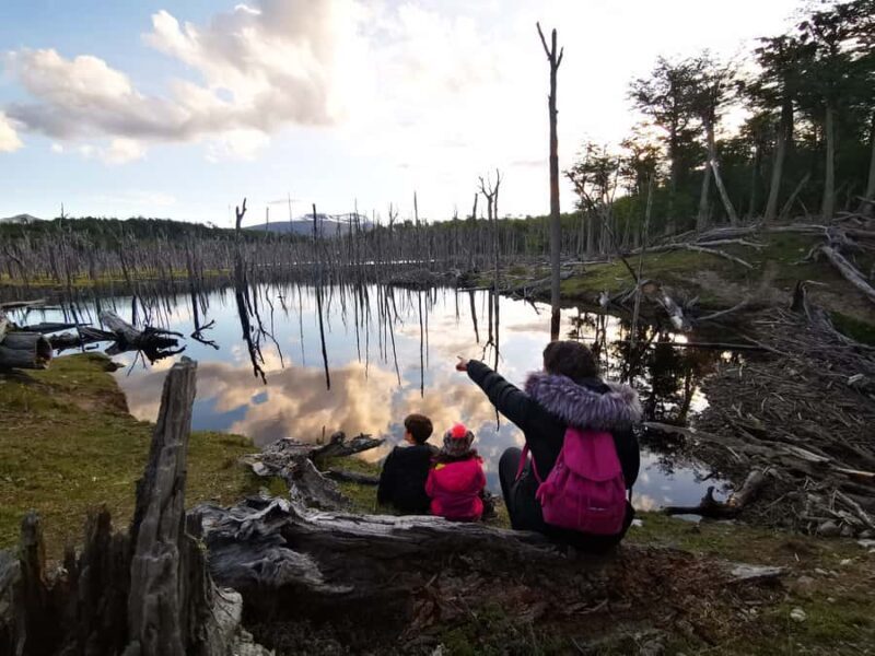 Ushuaia: Visit to Escondido and Fagnano Lakes PM - Ushuaia: Visit to Escondido and Fagnano Lakes PM — A Detailed Review