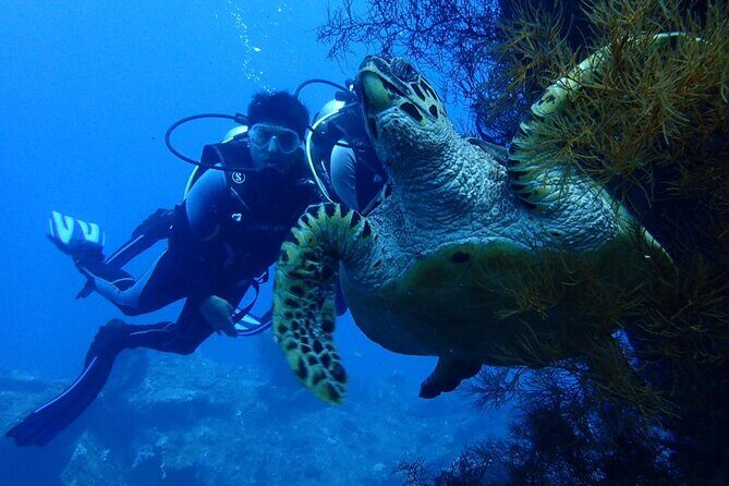 USS Liberty Shipwreck Scuba Diving at Tulamben Bali - Key Points